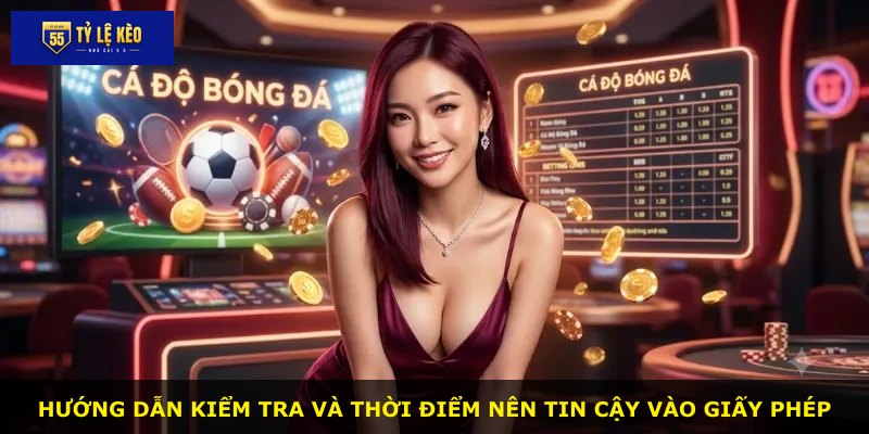 Hướng dẫn kiểm tra và thời điểm nên tin cậy vào giấy phép