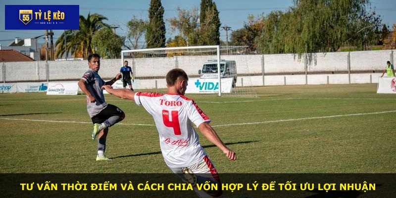 Tư vấn thời điểm và cách chia vốn hợp lý để tối ưu lợi nhuận