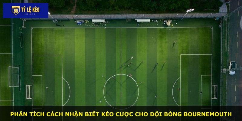 Phân tích cách nhận biết kèo cược cho đội bóng Bournemouth