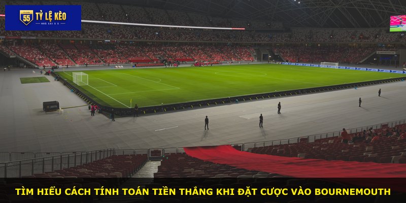 Tìm hiểu cách tính toán tiền thắng khi đặt cược vào Bournemouth