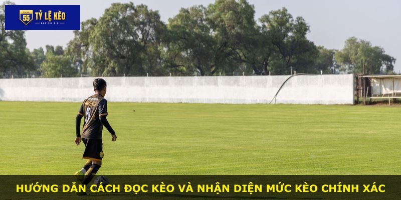 Hướng dẫn cách đọc kèo và nhận diện mức kèo chính xác