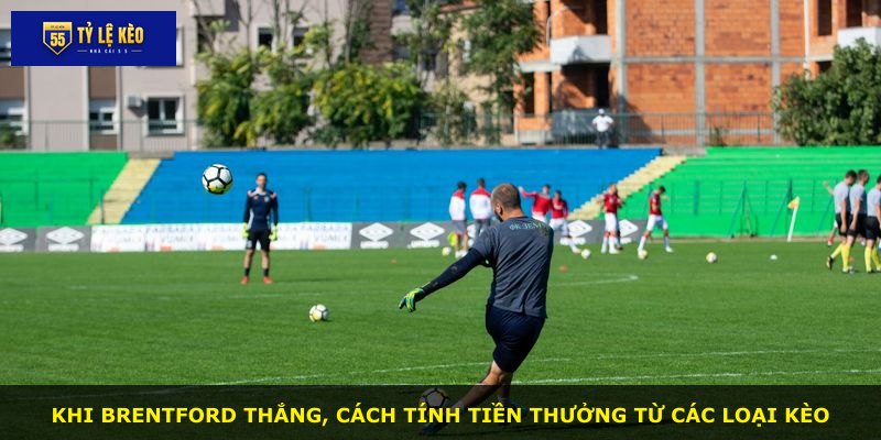Khi Brentford thắng, cách tính tiền thưởng từ các loại kèo