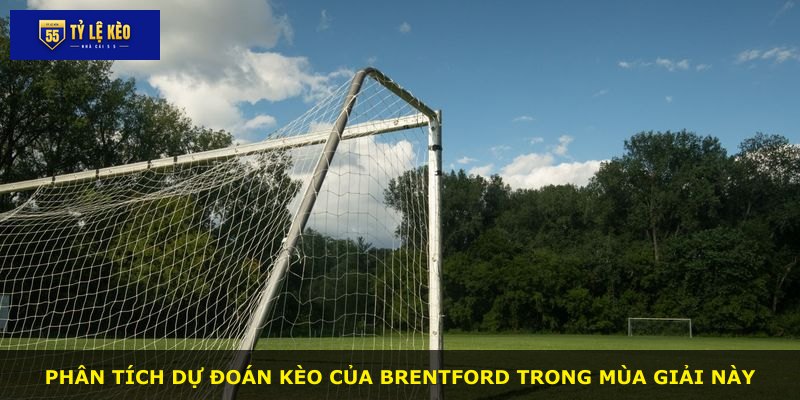 Phân tích dự đoán kèo của Brentford trong mùa giải này