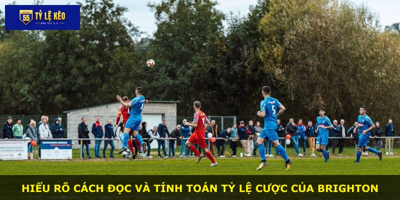 Hiểu rõ cách đọc và tính toán tỷ lệ cược của Brighton