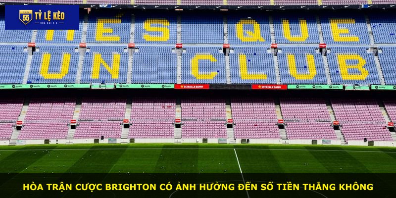 Hòa trận cược Brighton có ảnh hưởng đến số tiền thắng không