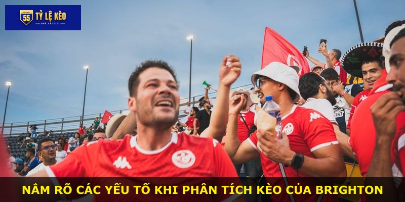 Nắm rõ các yếu tố khi phân tích kèo của Brighton