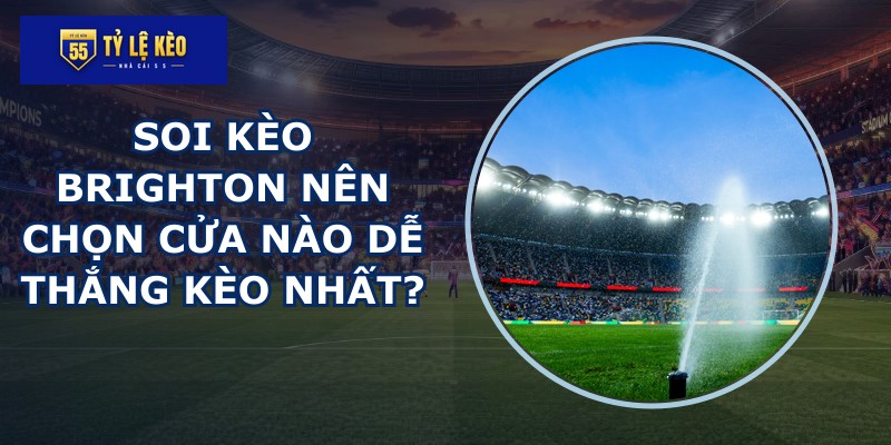 soi kèo Brighton