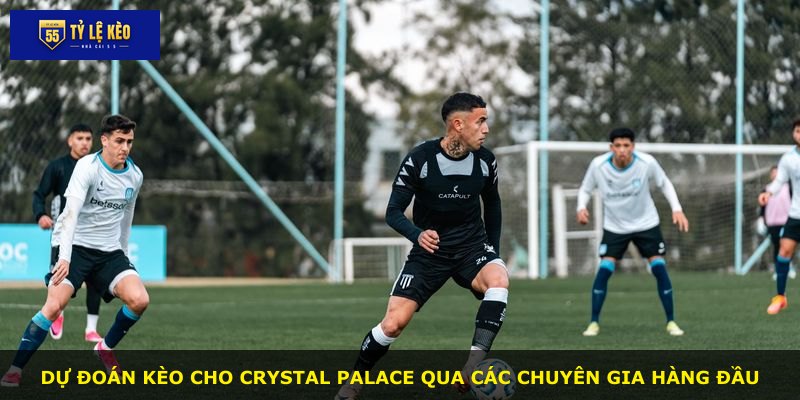 Dự đoán kèo cho Crystal Palace qua các chuyên gia hàng đầu