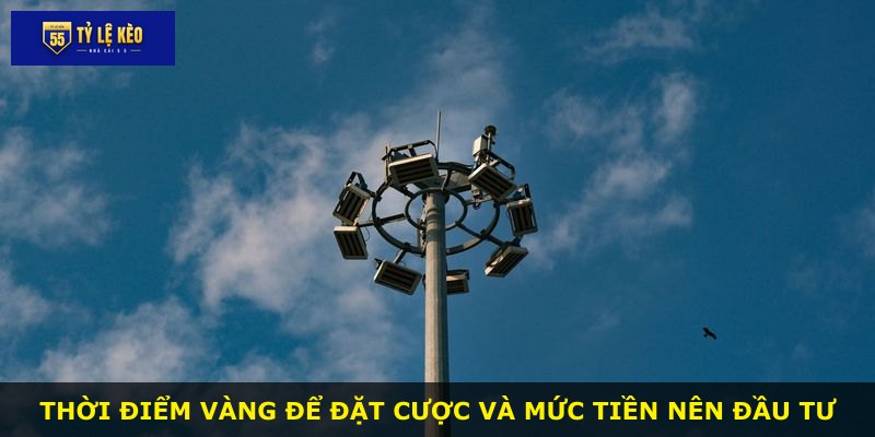 Thời điểm vàng để đặt cược và mức tiền nên đầu tư