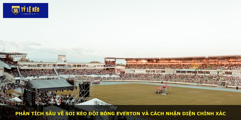 Phân tích sâu về soi kèo đội bóng Everton và cách nhận diện chính xác