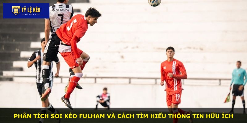 Phân tích soi kèo Fulham và cách tìm hiểu thông tin hữu ích