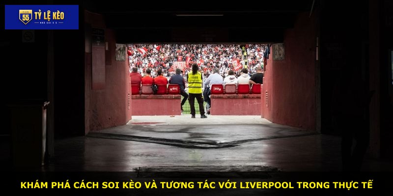 Khám phá cách soi kèo và tương tác với Liverpool trong thực tế