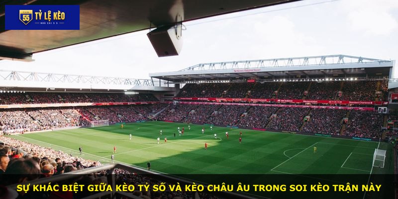 Sự khác biệt giữa kèo tỷ số và kèo châu Âu trong soi kèo trận này