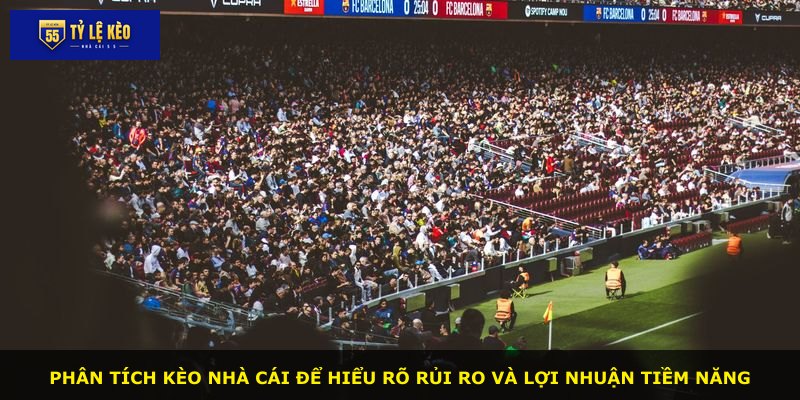 Phân tích kèo nhà cái để hiểu rõ rủi ro và lợi nhuận tiềm năng