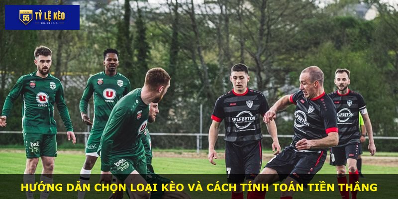 Hướng dẫn chọn loại kèo và cách tính toán tiền thắng