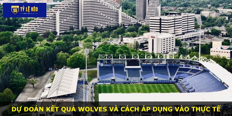 Dự đoán kết quả Wolves và cách áp dụng vào thực tế
