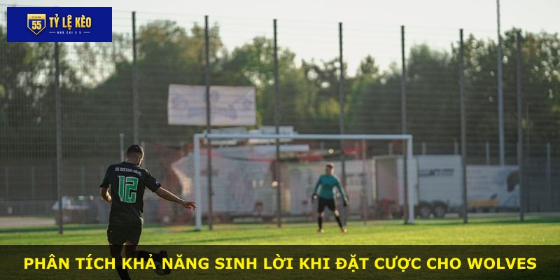 Phân tích khả năng sinh lời khi đặt cược cho Wolves